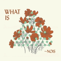 Nois What Is ~nois?