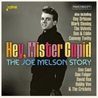 Melson, Joe Hey, Mister Cupid - The Joe Melson Story