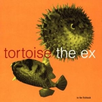 Tortoise & The Ex In The Fishtank