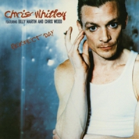 Chris Whitley, Billy Martin, Chris Wo Perfect Day