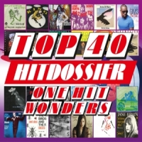 Various Top 40 Hitdossier - One Hit Wonders