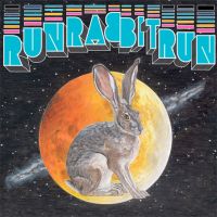 Stevens, Sufjan / Osso Run Rabbit Run