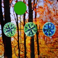 Jackie O Motherfucker America Mystica