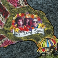 Waking Eyes Combing The Cloud