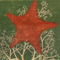 Blithe Sons Arm Of The Starfish