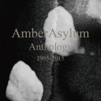 Amber Asylum Anthology