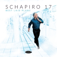 Schapiro 17 Best Laid Plans