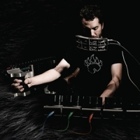 Author & Punisher Ursus Americanus