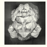 Sound & Fury Pulsacion