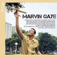 Gaye, Marvin Icon