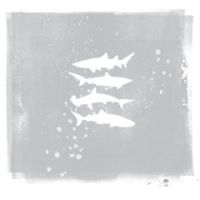 My Brightest Diamond Shark Remixes