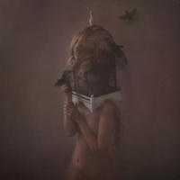 Dear Hunter, The Migrant