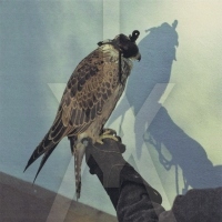 Iceage You're Nothing