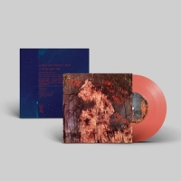 Kite Don't Take The Light Away -coloured-