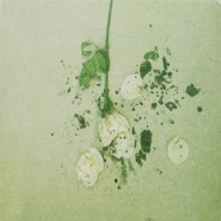 Everything In Slow Motion Laid Low