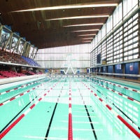 Good Shoes No Hope, No Future