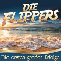 Flippers, Die Die Ersten Grossen Erfolge