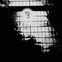 Niblock, Phill & Anna Clementi & Thomas Stern Zound Delta 2