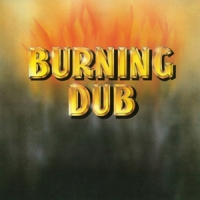 Revolutionaries Burning Dub