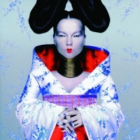 Bjork Homogenic Live