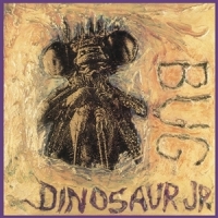 Dinosaur Jr. Bug