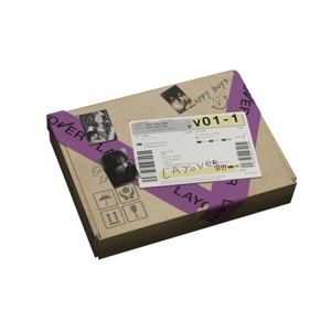 V / Bts V - Layover  3