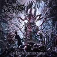 Chronicynic Nexus Aeternum