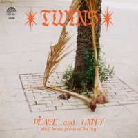 Twins Healing Dreams -coloured-