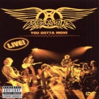 Aerosmith You Gotta Move (cd+dvd)