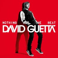 Guetta, David Nothing But The Beat