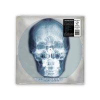 King Gizzard & The Lizard Wizard Skull X-ray