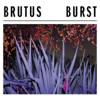 Brutus Burst