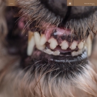 Blanck Mass World Eater (clear Red Splatter)
