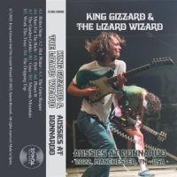 King Gizzard & The Lizard Wizard Aussies At Bonnaroo 22