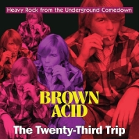 Various Brown Acid   The Twenty-third Trip