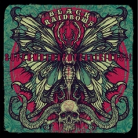 Black Rainbows Supermothafuzzalicious