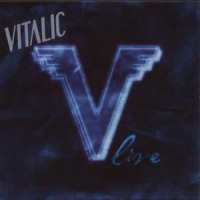 Vitalic V Live