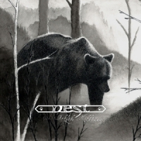 Nest Fabled Lore / Hidden Stream