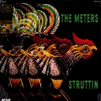 Meters Struttin' -coloured-