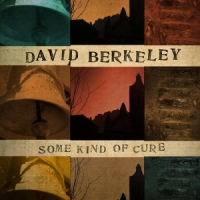 David Berkeley Some Kind Of Cure