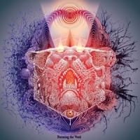 Forming The Void Reverie