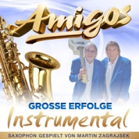 Amigos Grosse Erfolge - Instrumental
