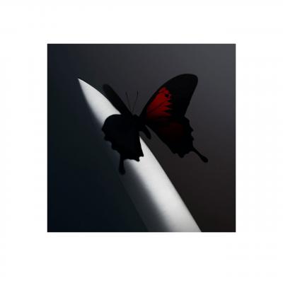 Post Malone Twelve Carat Toothache