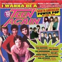 Various I Wanna Be A Teen Again American Power Pop 1980-1989