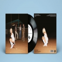 Amyl & The Sniffers U Should Not Be Doing That