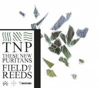 These New Puritans Field Of Reeds