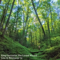 King Gizzard & The Lizard Wizard Live At Bonnaroo '22 -coloured-