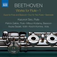 Beethoven, Ludwig Van Works For Flute 1