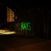 Rats Rule The World -coloured-