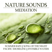 Various Nature Sounds Meditation